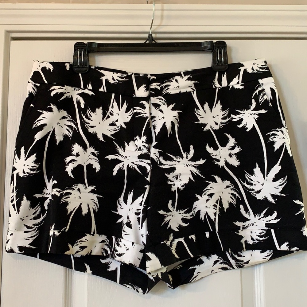 Apt 9 - Size 12 - Black/White Palm Tree Shorts
